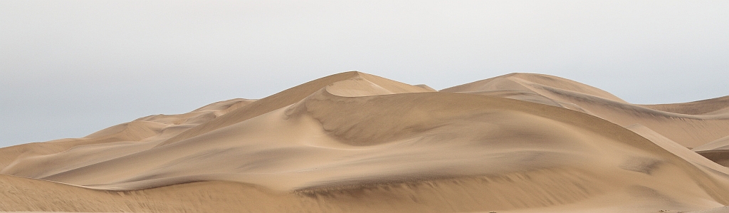 J17_0411 Coastal dunes.JPG
